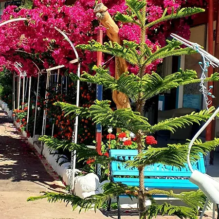 Отель Erendiz Garden