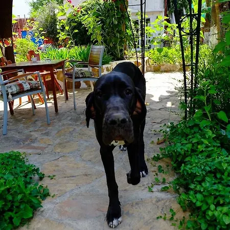 Hotel Erendiz Garden Kemer